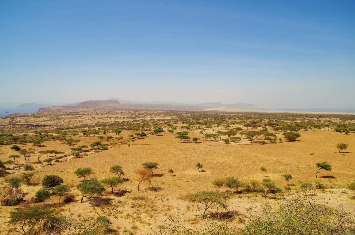 Parc national d'Abijatta
