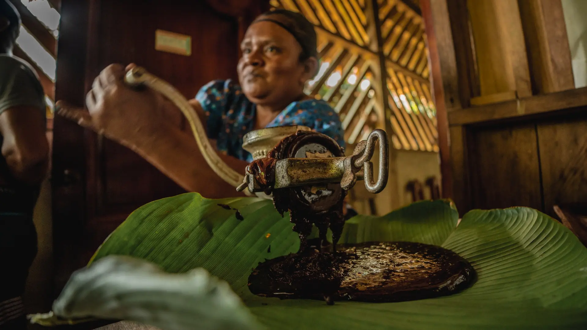 Cacao Bocas Panama
