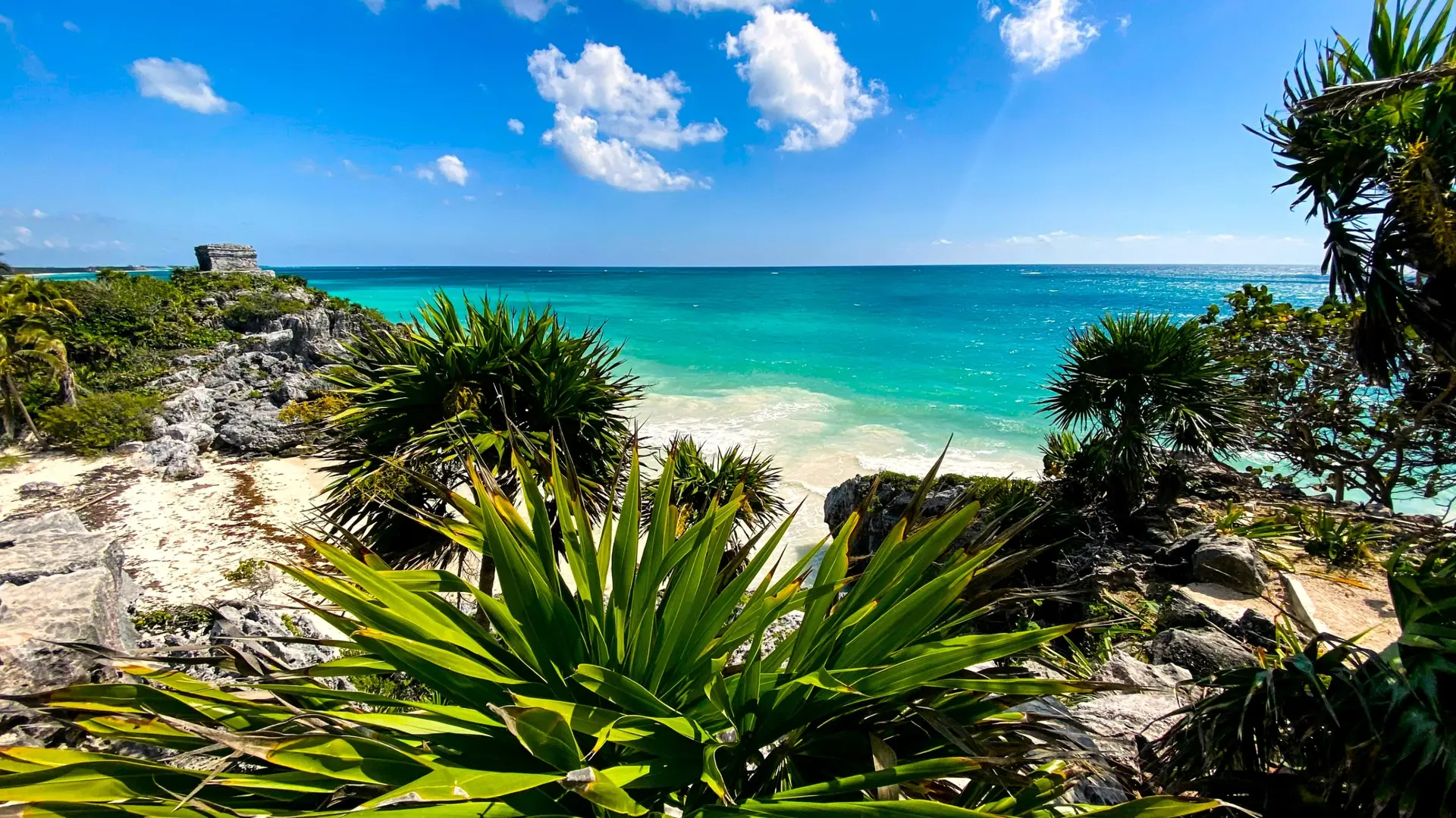 Plages des Caraïbes