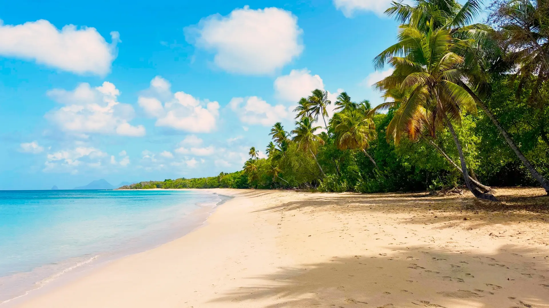 Plages paradisiaques
