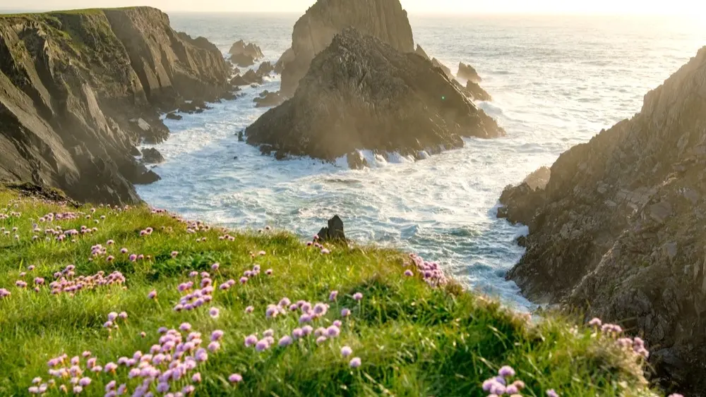 Côte atlantique sauvage