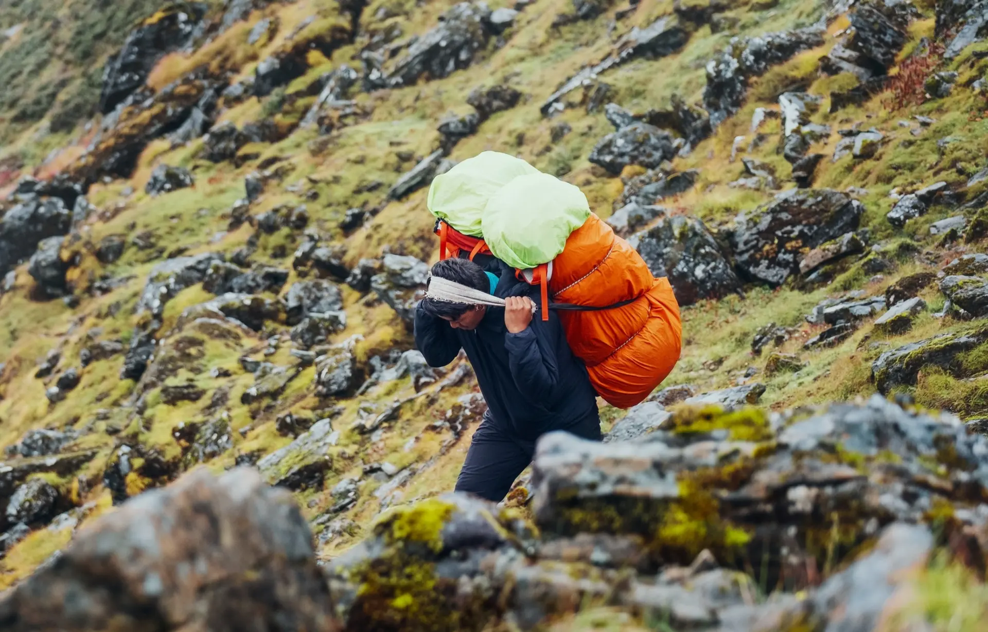 Culture sherpa