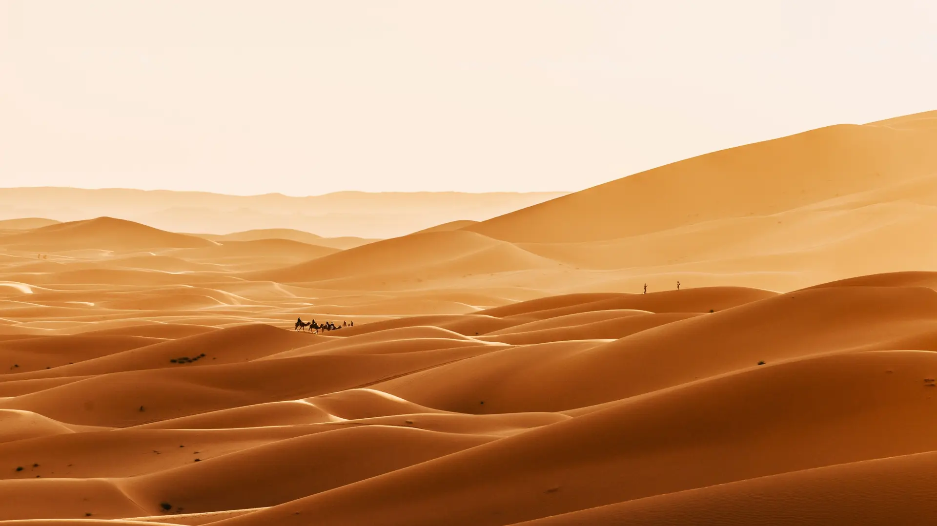 Désert du Sahara