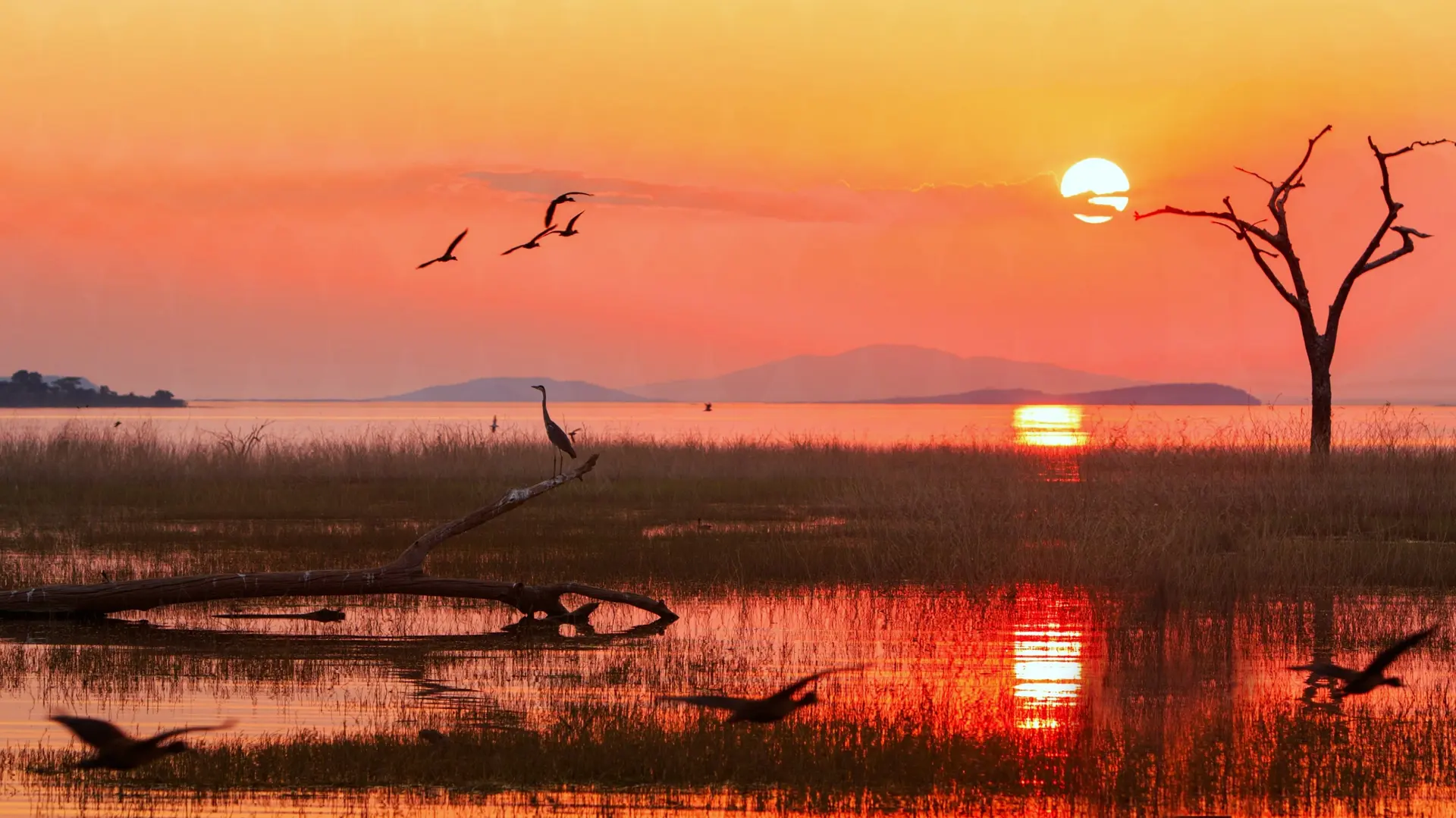 Lac Kariba