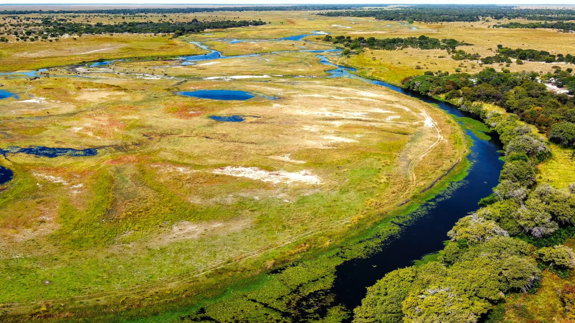 Terres sauvages préservées