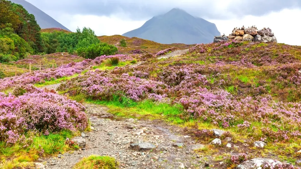 Highlands mystérieux