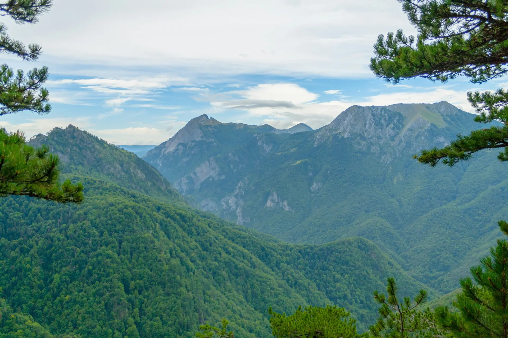 Montagnes dinariques