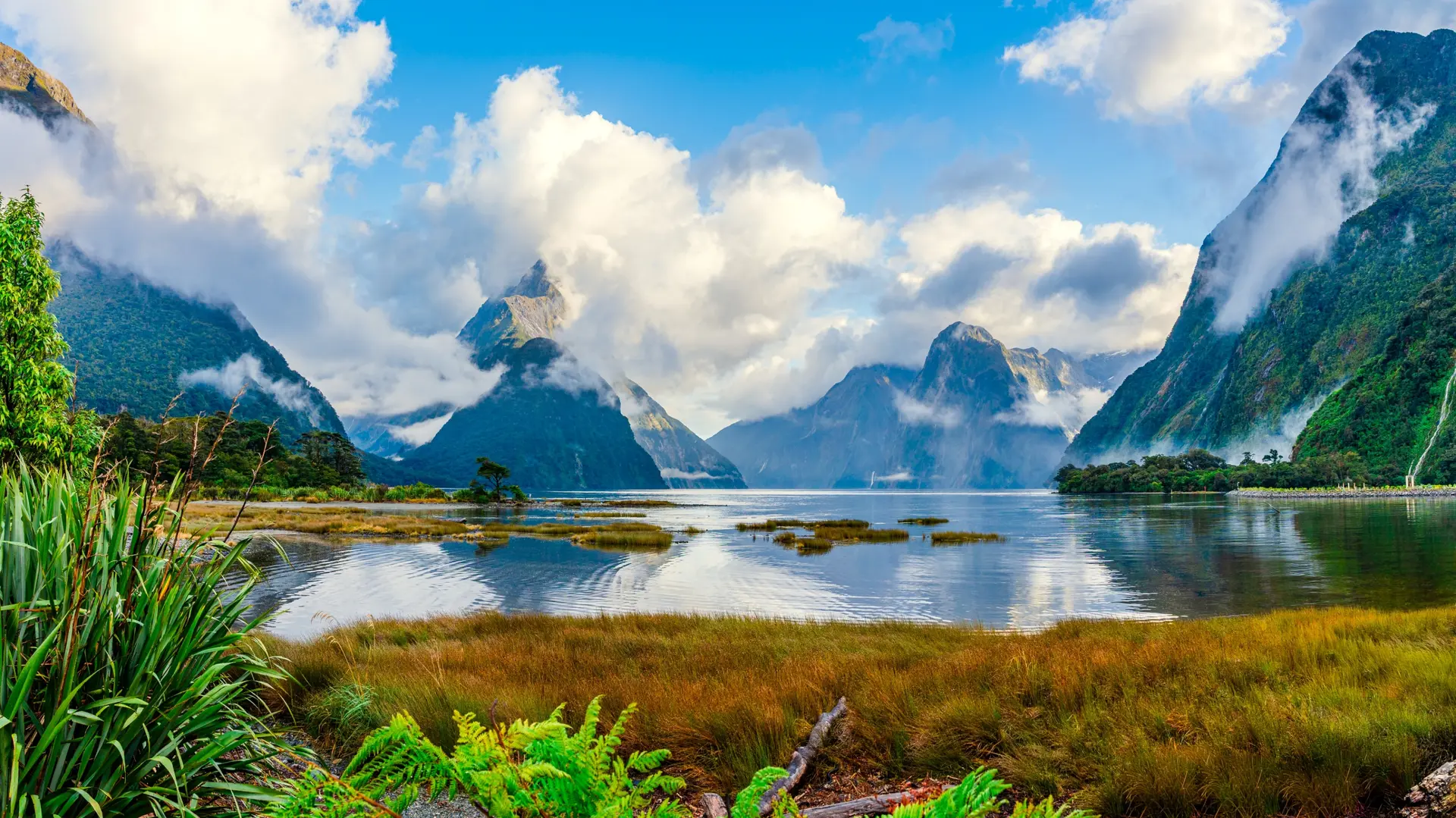 Fjords et Alpes du Sud