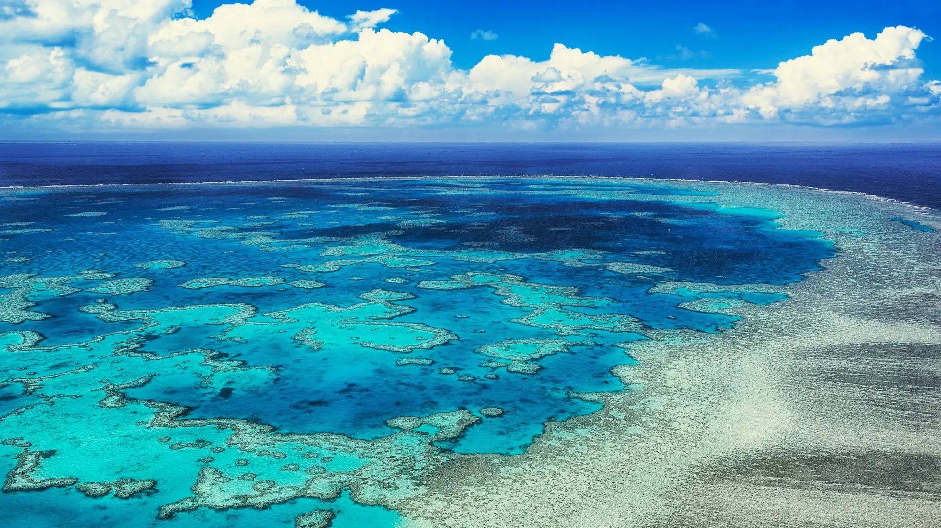 Grande Barrière de Corail
