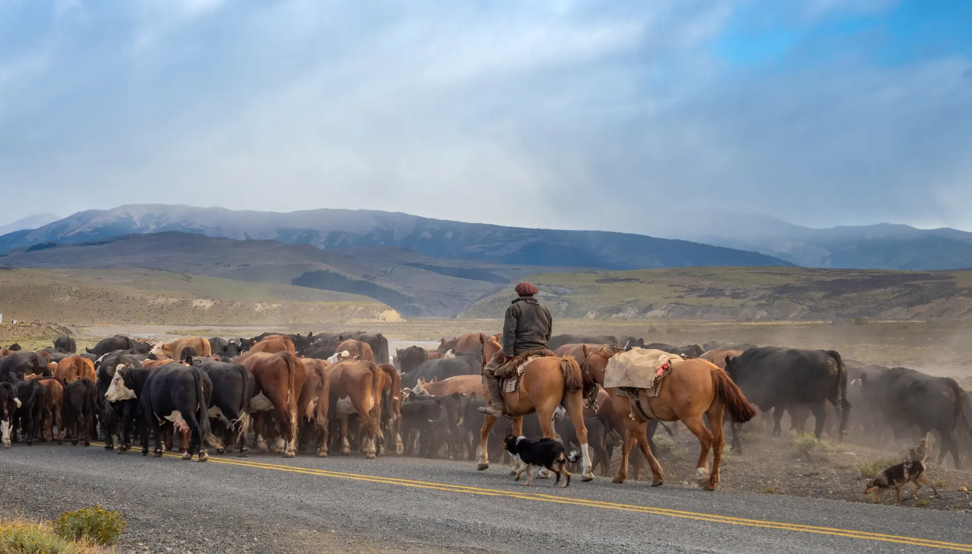 Culture gaucho