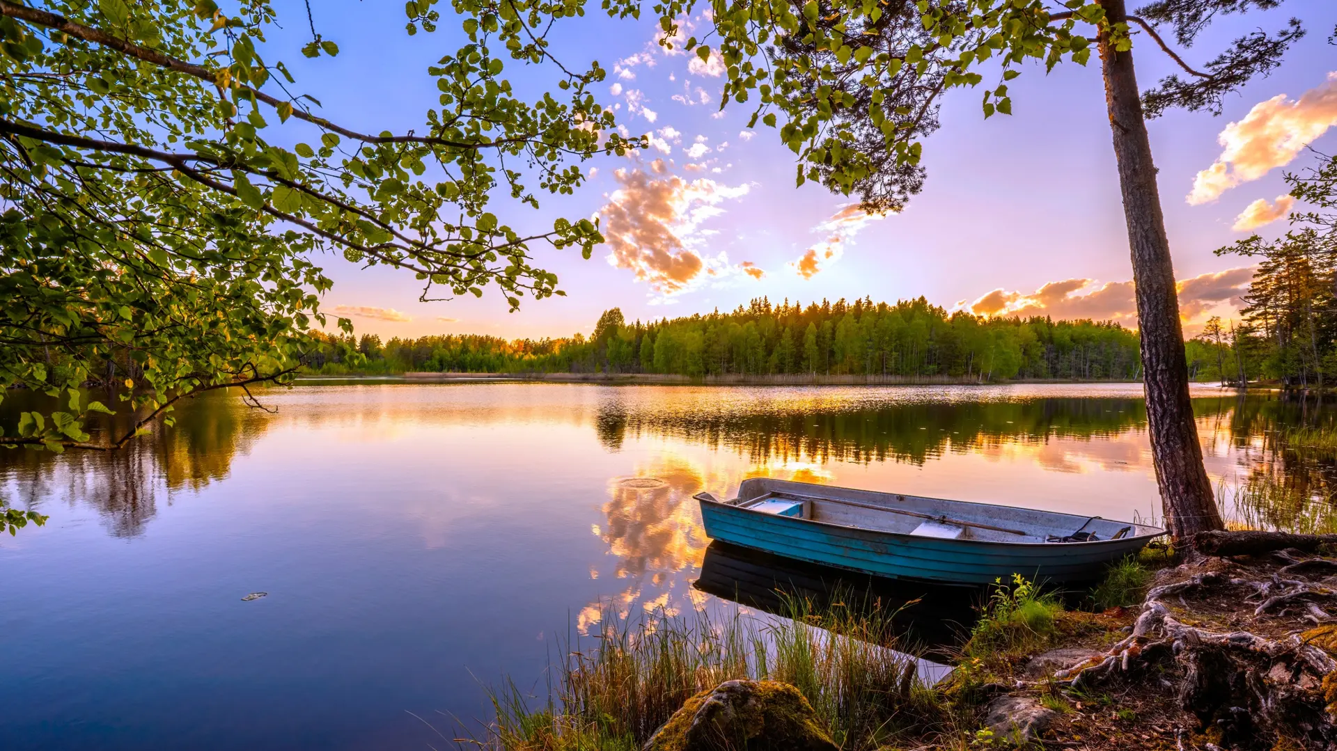 Forêts et lacs