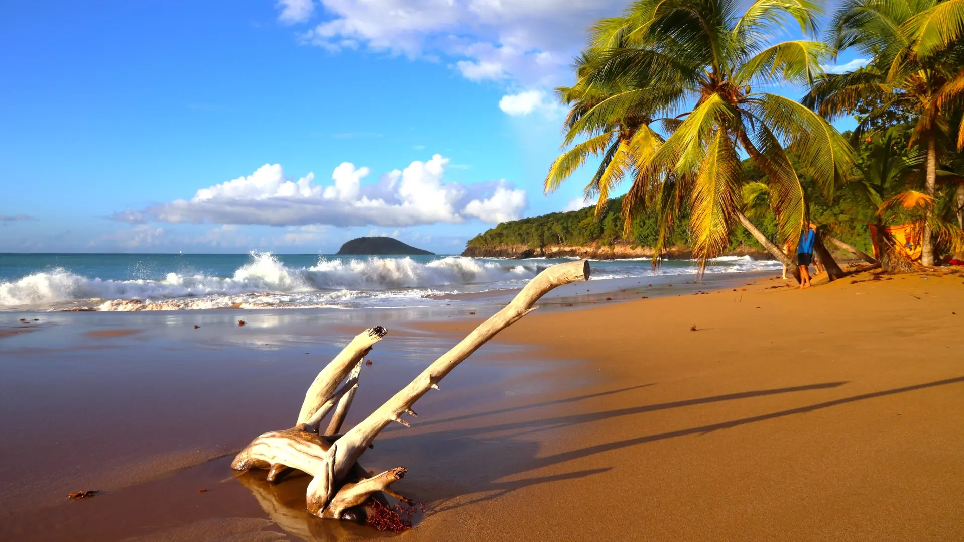 Plages paradisiaques