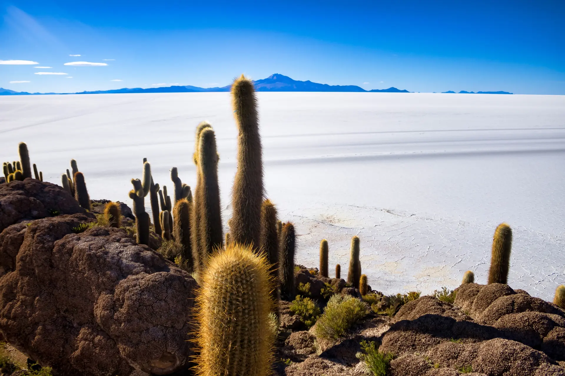 Salar d'Uyuni