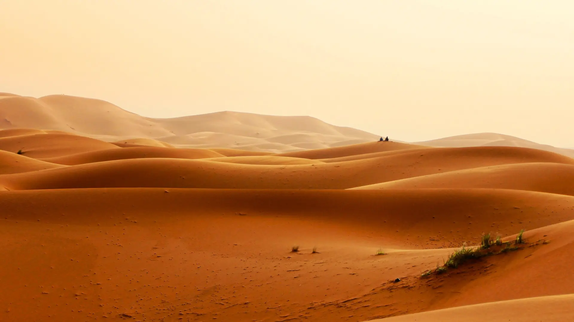 Désert du Sahara