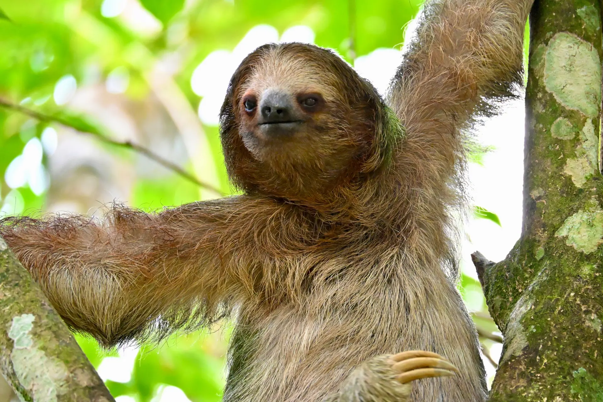 Biodiversité exceptionnelle