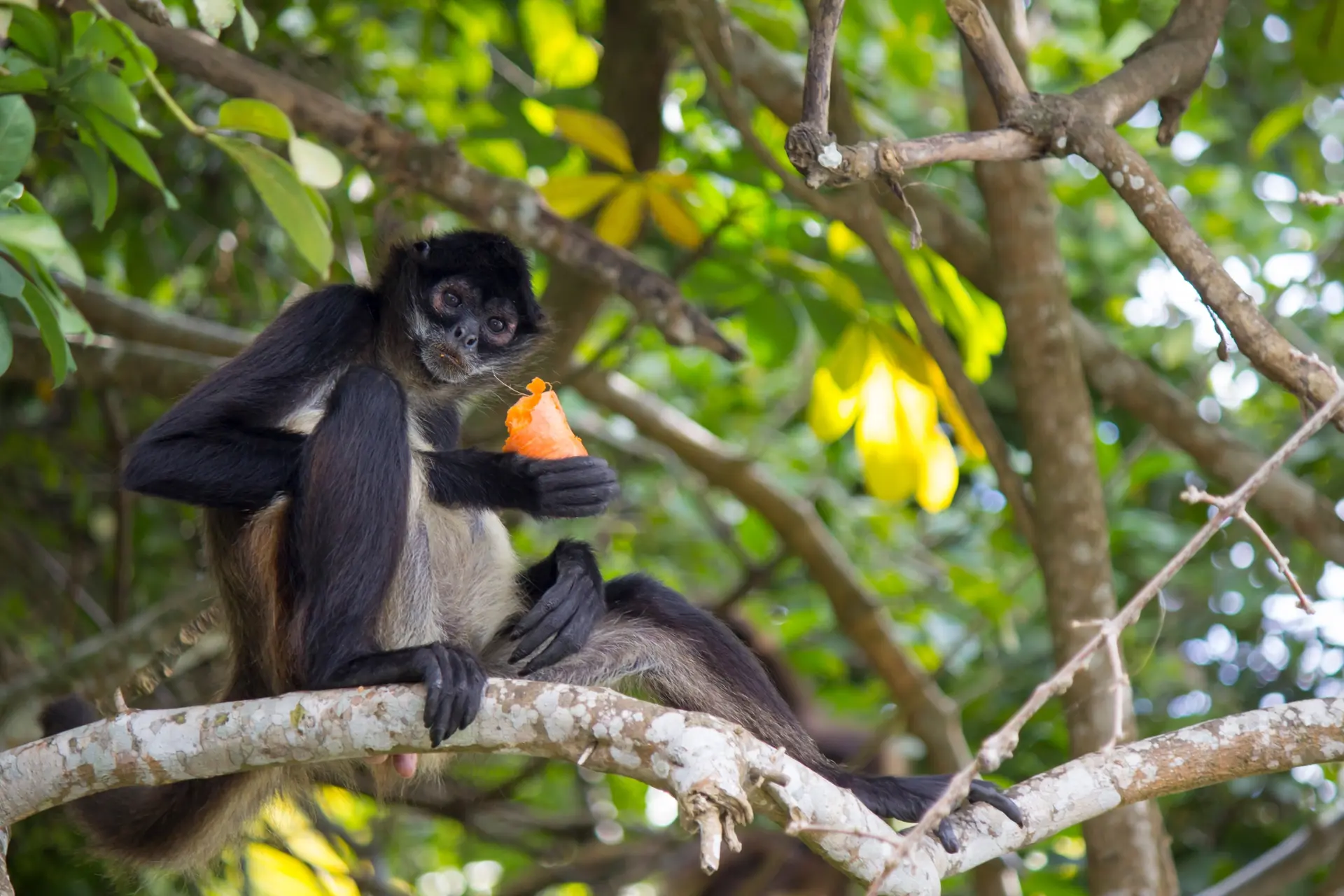 Wildlife & Biodiversity