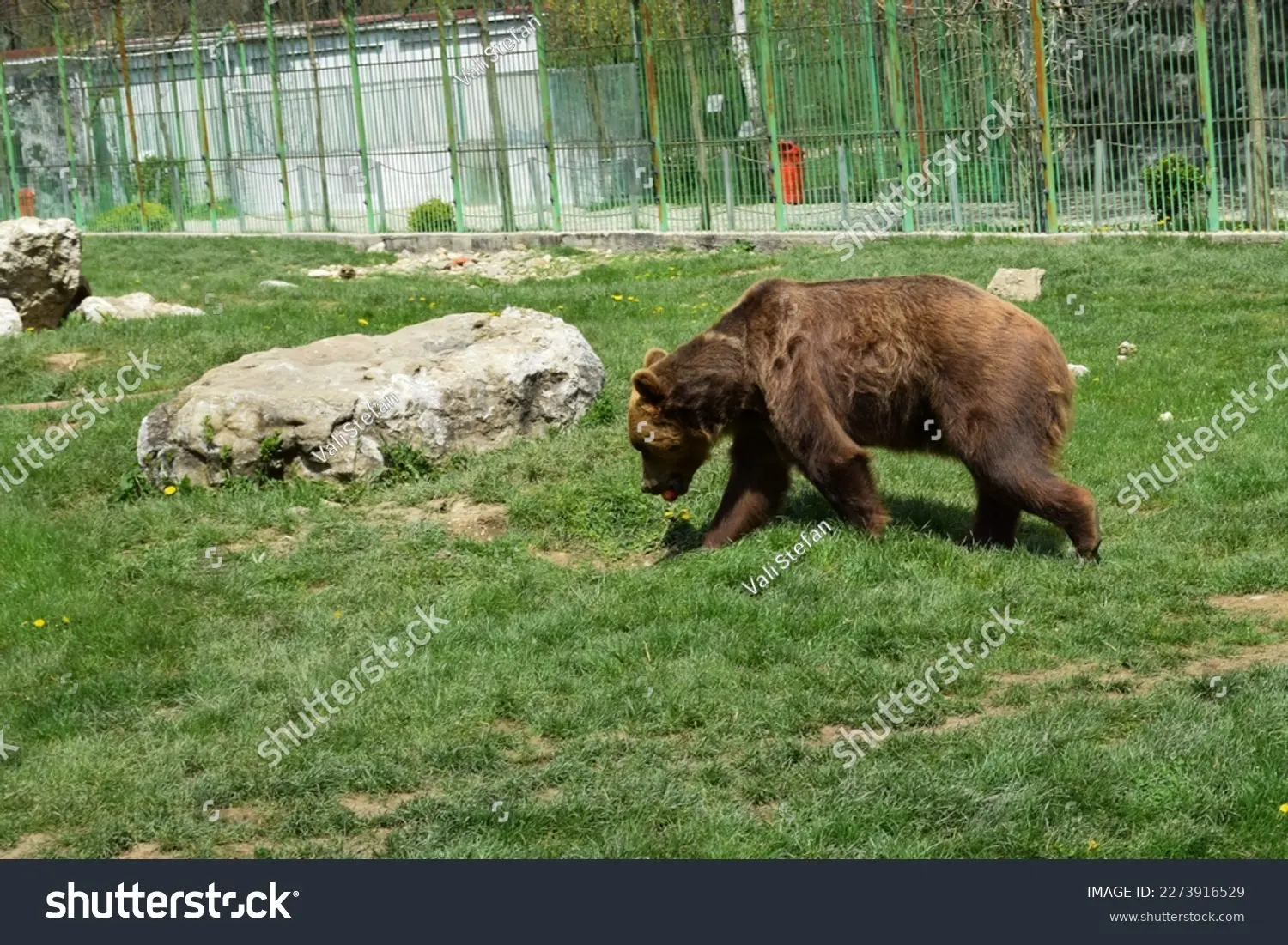 Fauna e Biodiversità