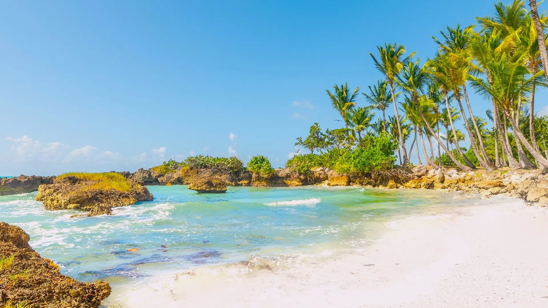 Sea & Beaches
