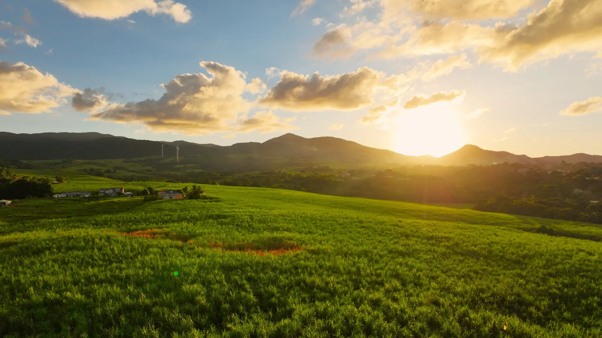 Nature & Landscapes