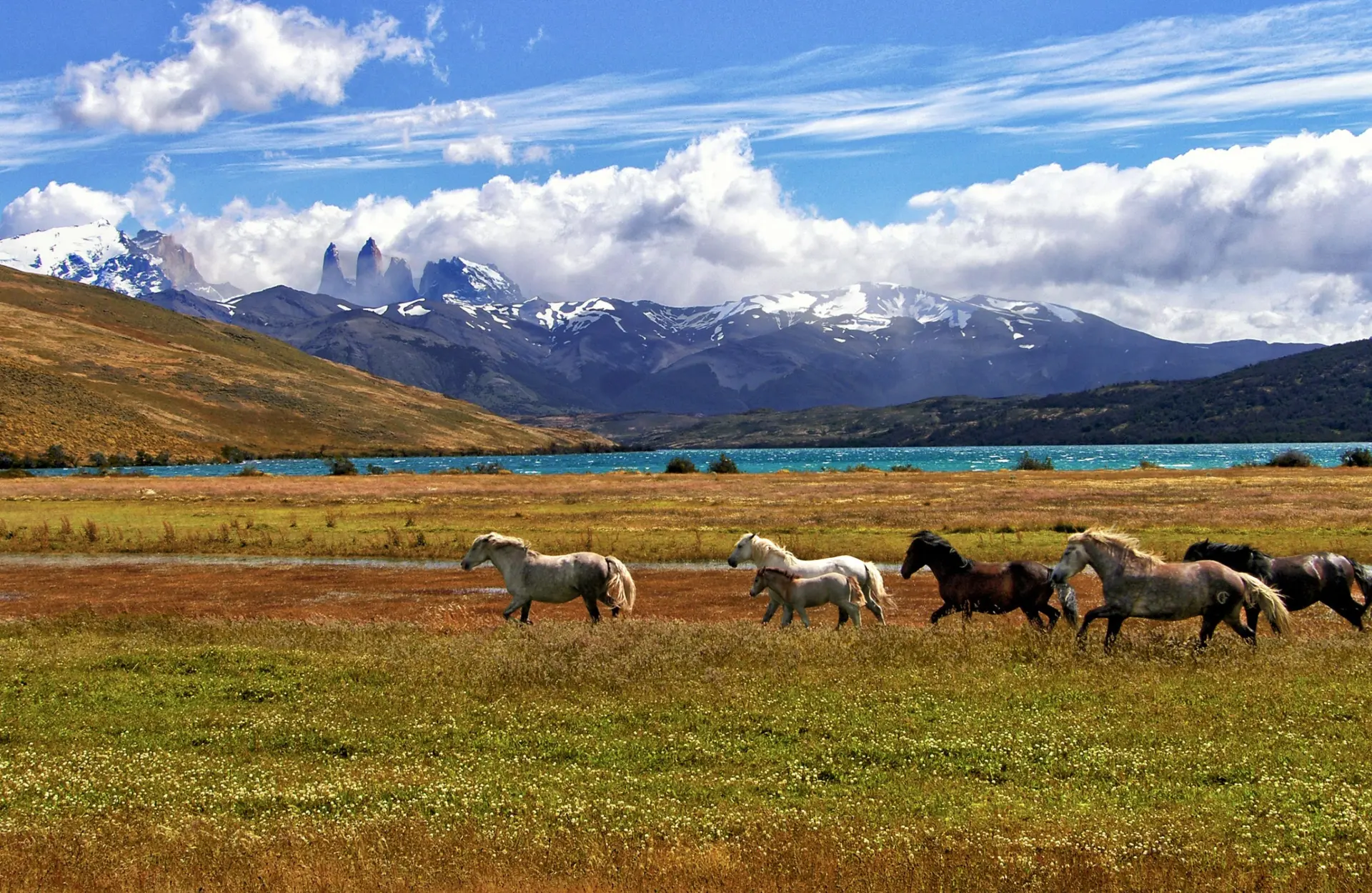 Nature & Landscapes