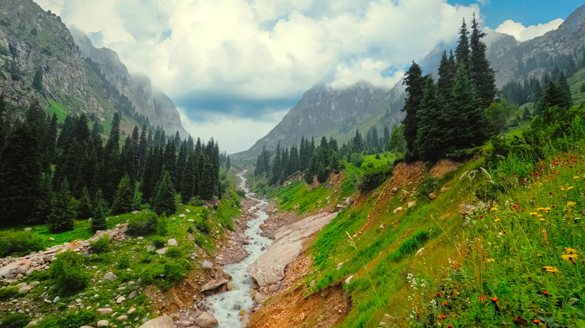 Nature et Paysage