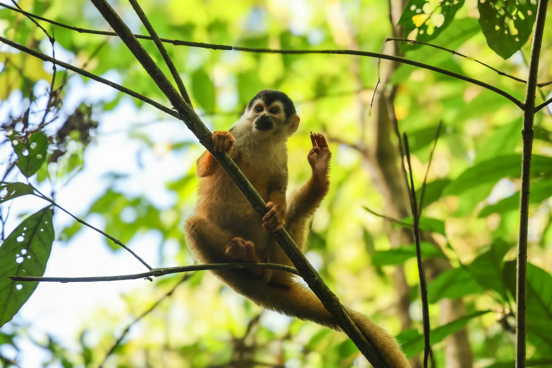 Fauna y Biodiversidad