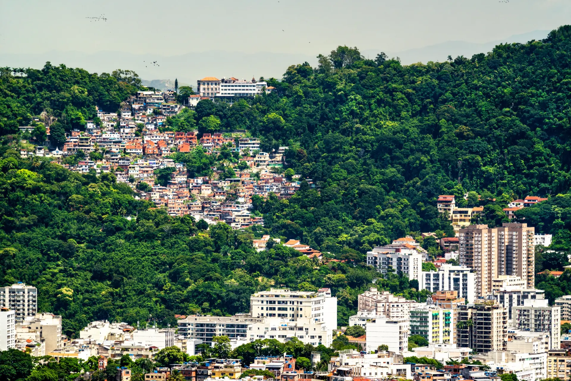 favela Perreira da Silva