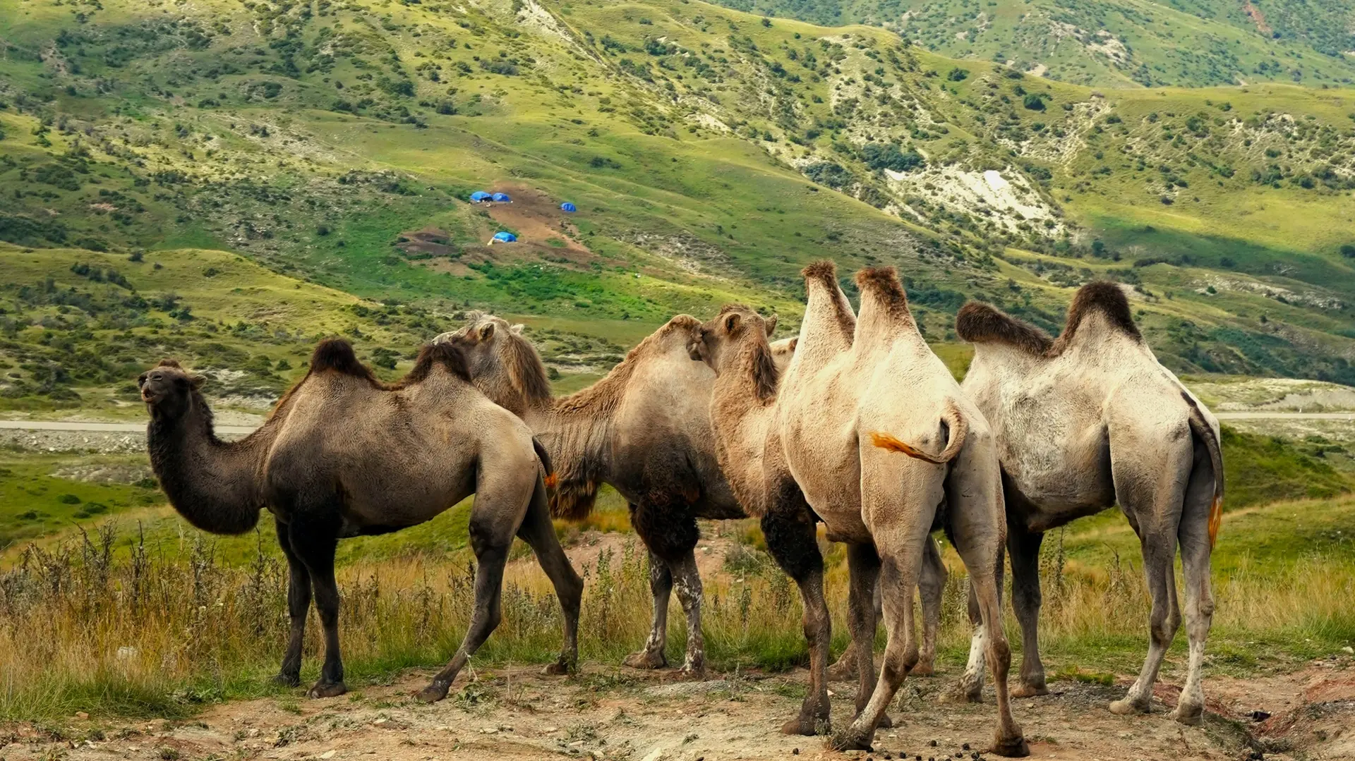Faune et Biodiversité