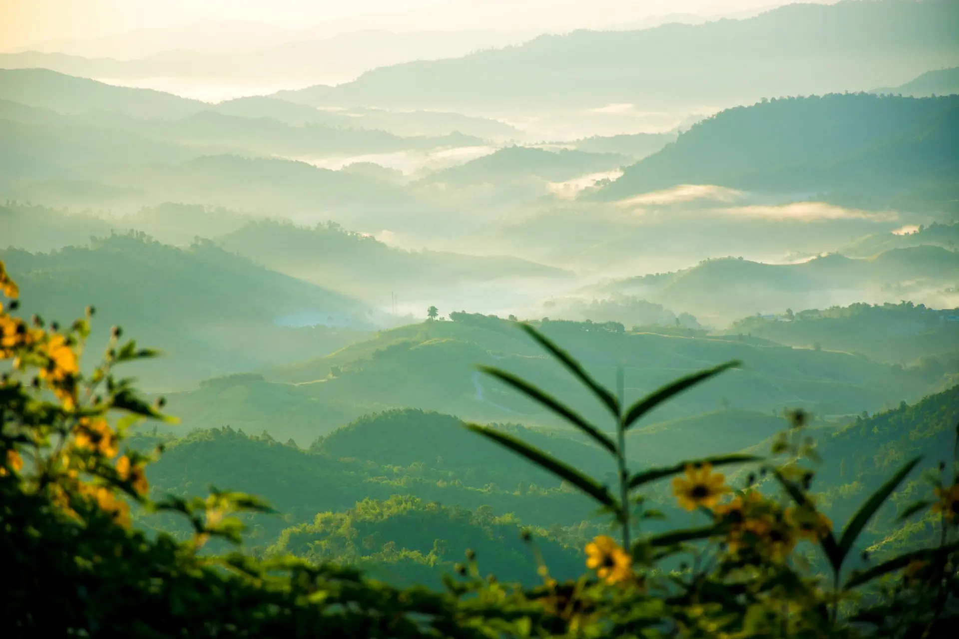 Nature et Paysage