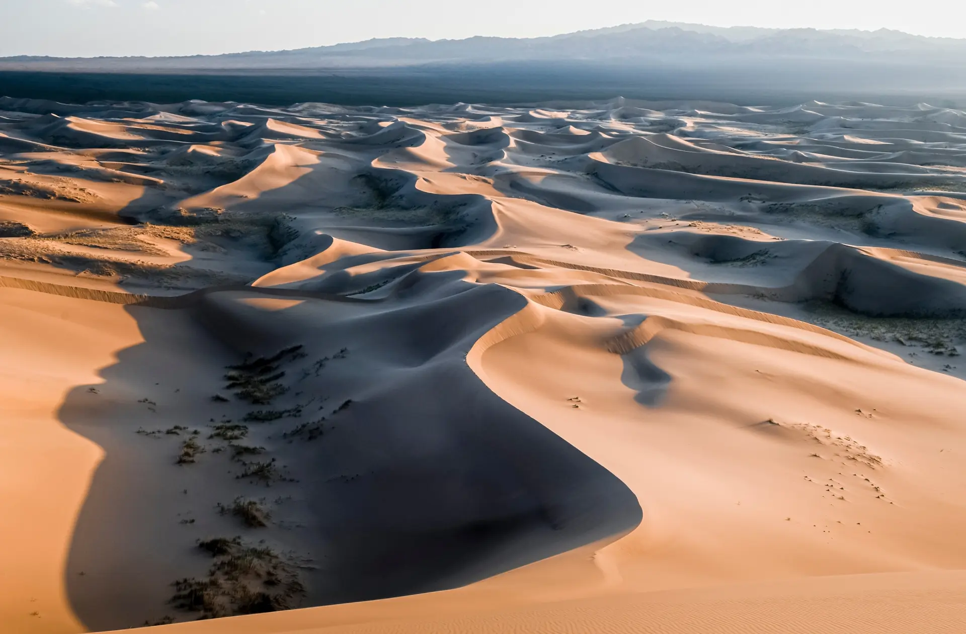 Désert de Gobi