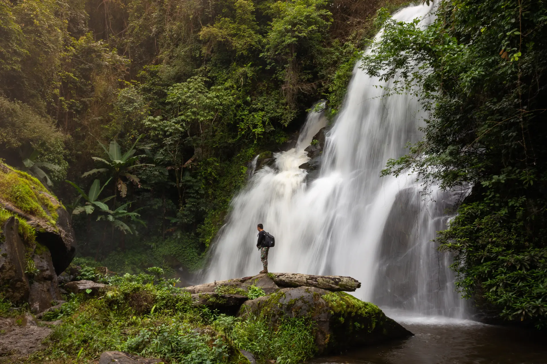 Nature sauvage