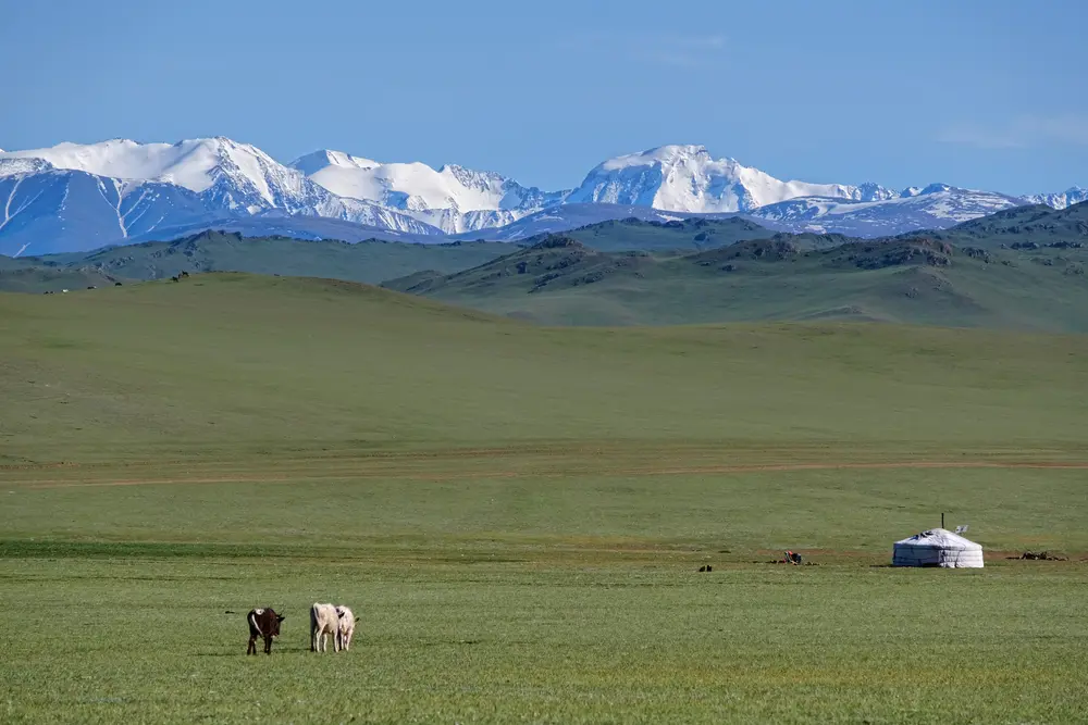 Mongolie