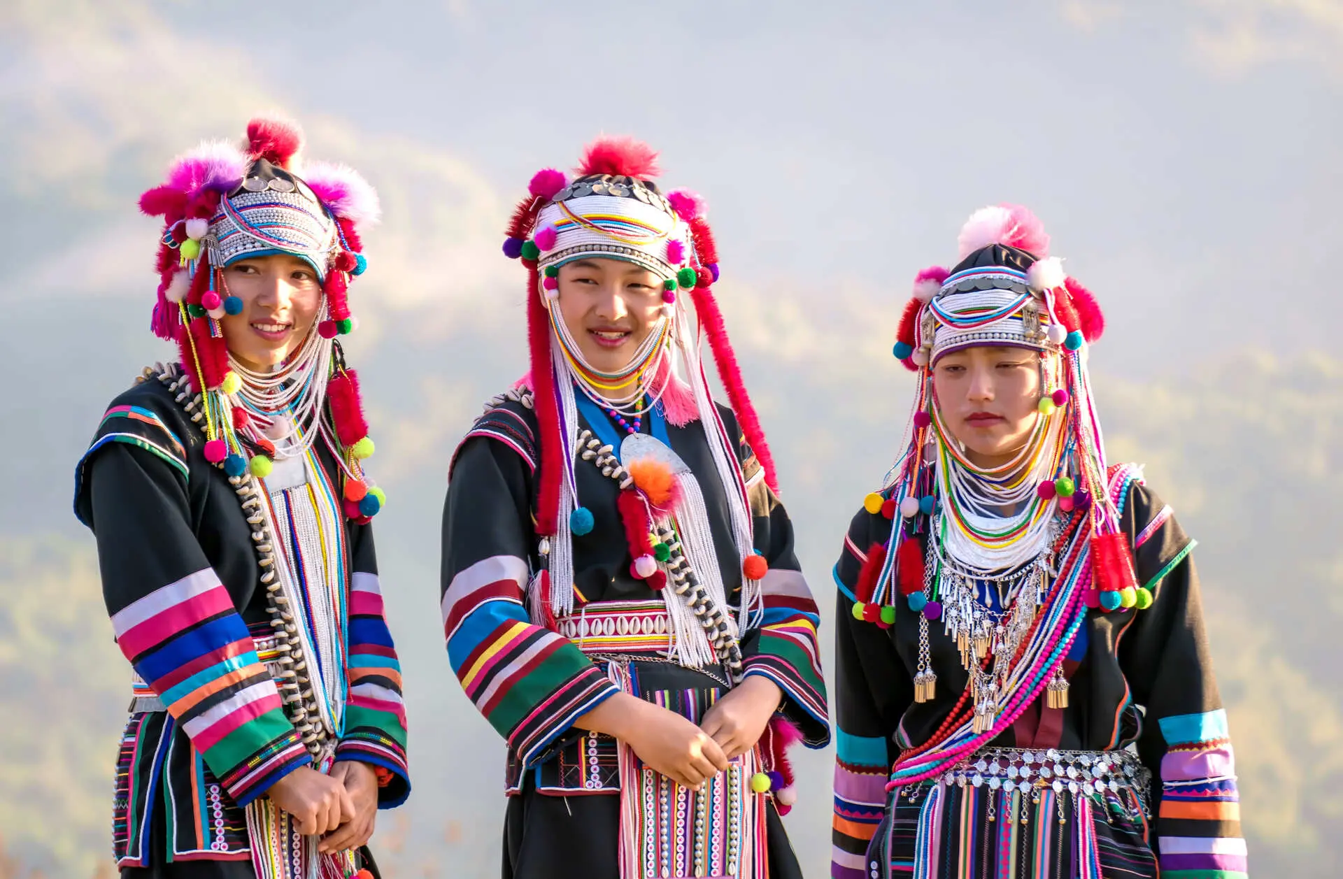Culture du Nord