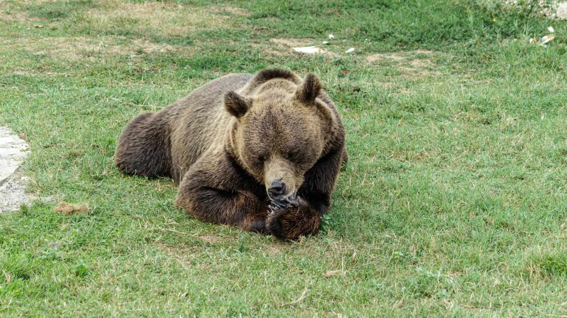Wildlife & Biodiversity