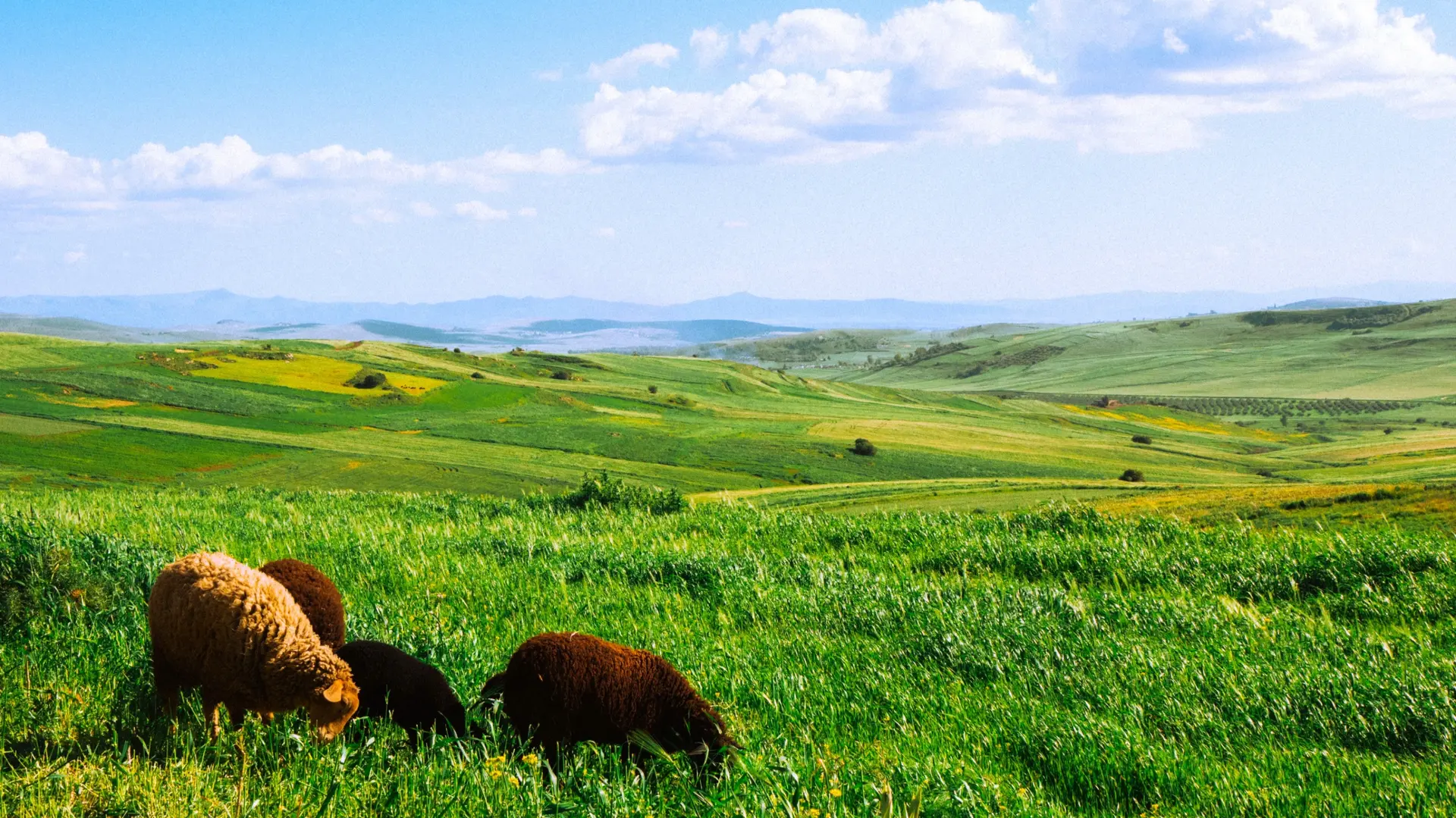 Natur & Landschaft