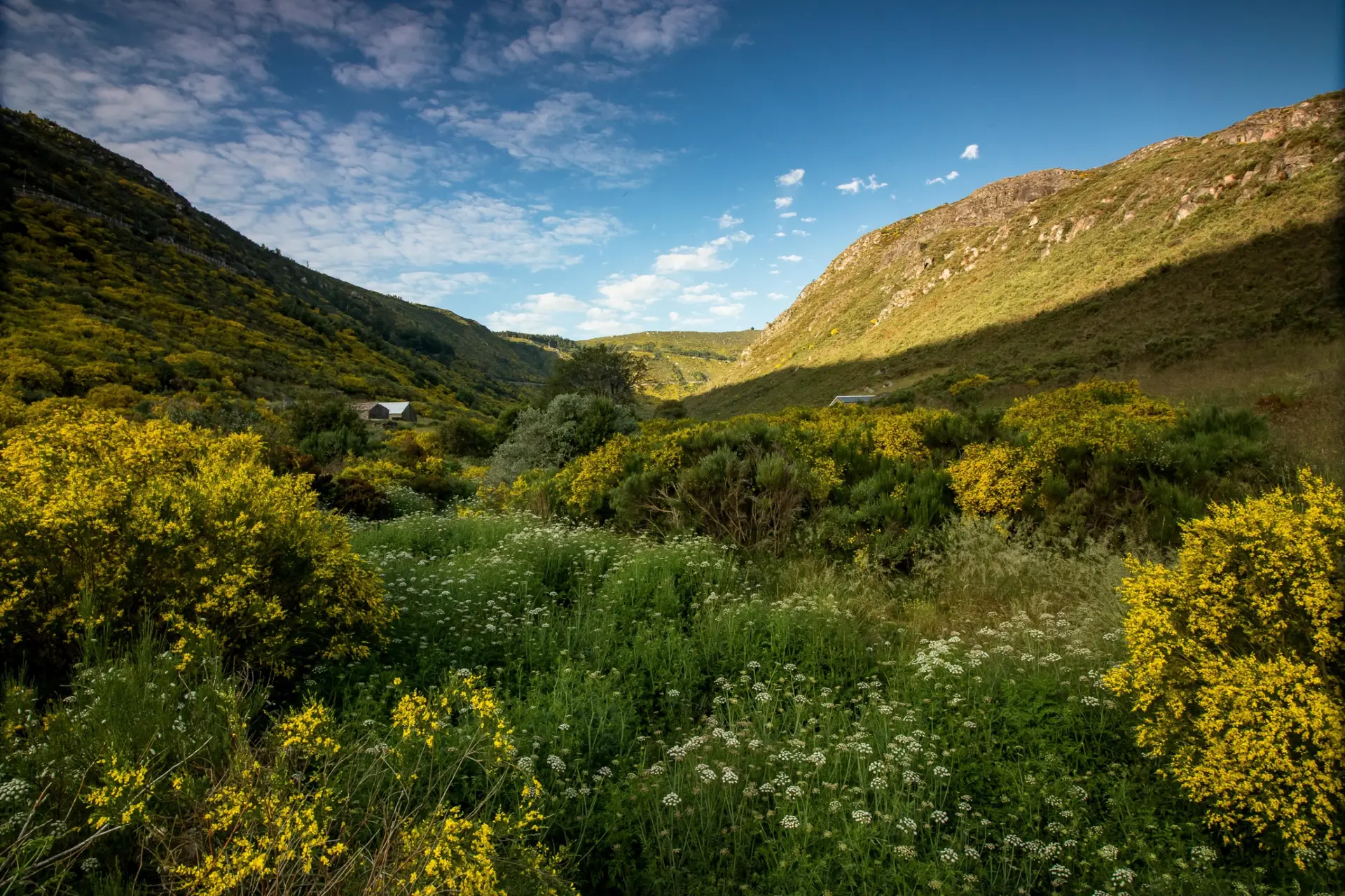 Nature & Landscapes