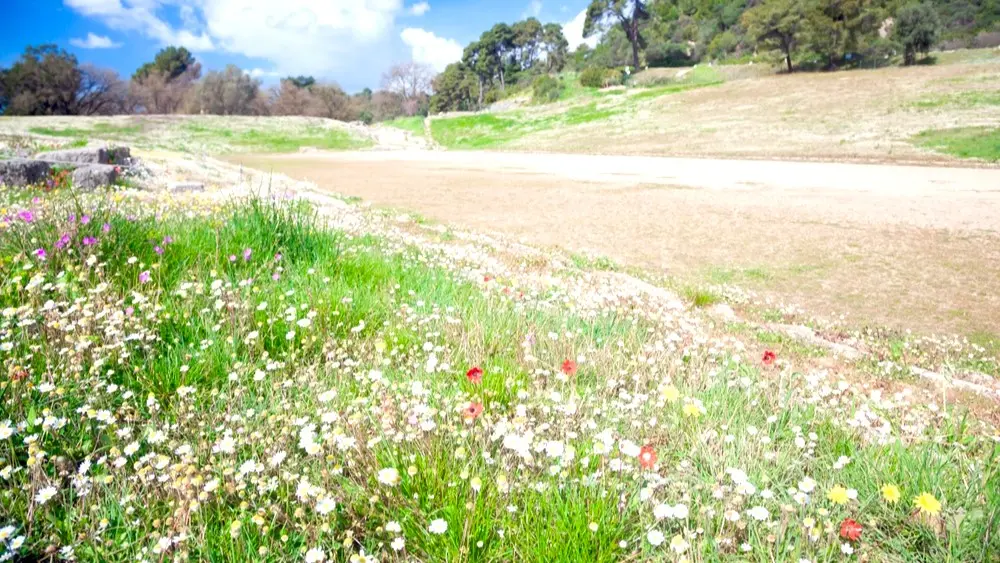 Nature & Landscapes