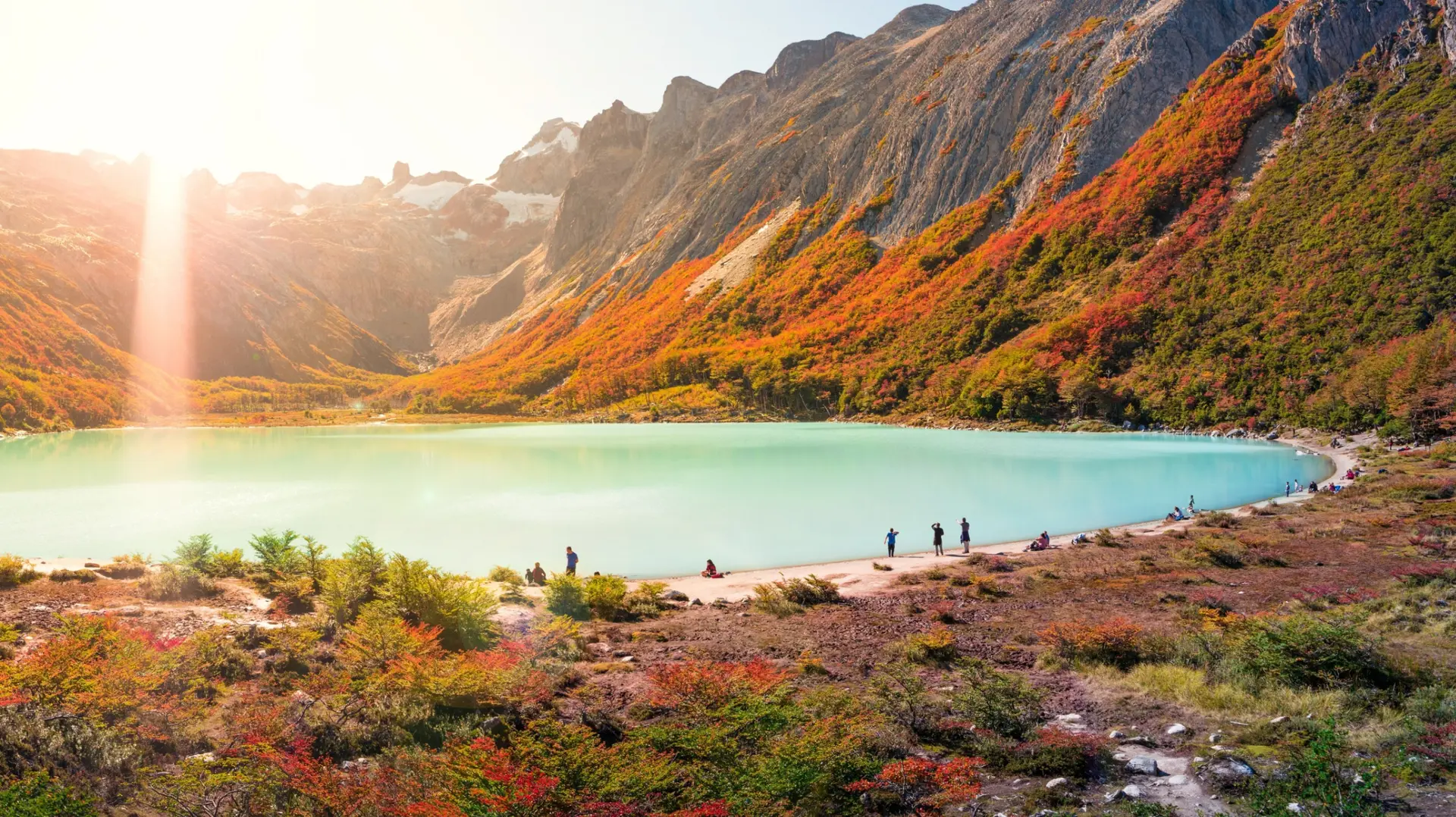Nature & Landscapes