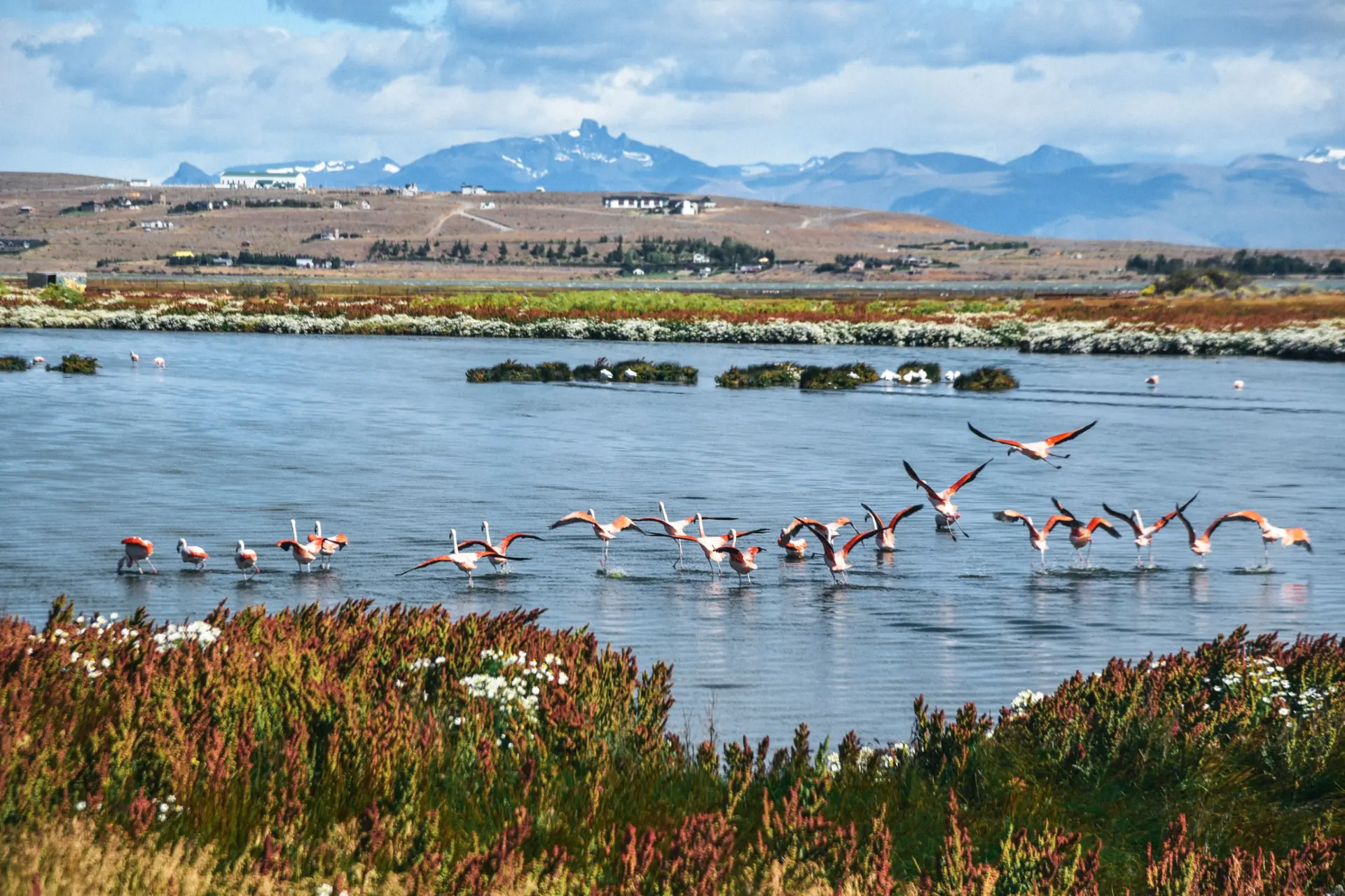 Wildlife & Biodiversity