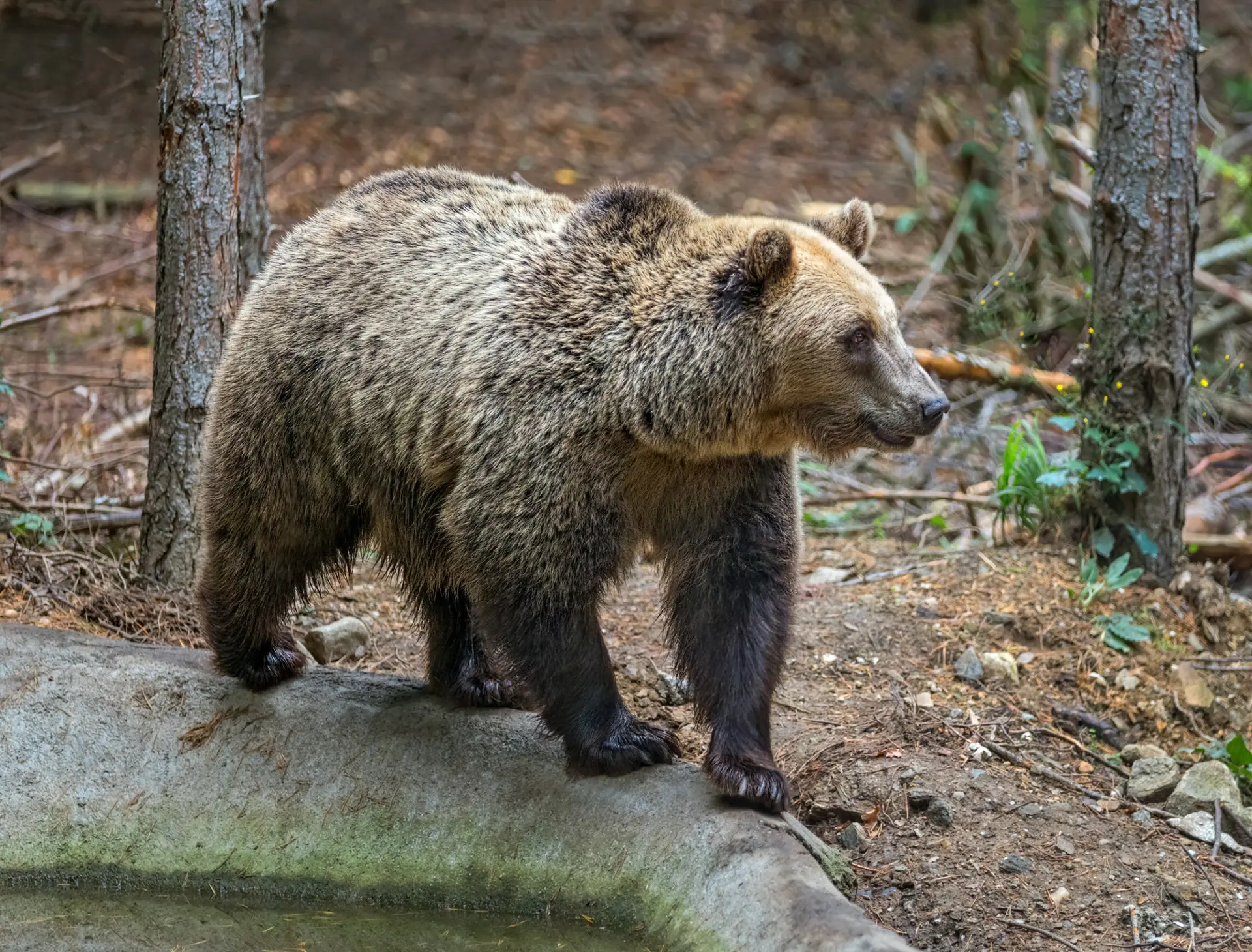 Wildlife & Biodiversity
