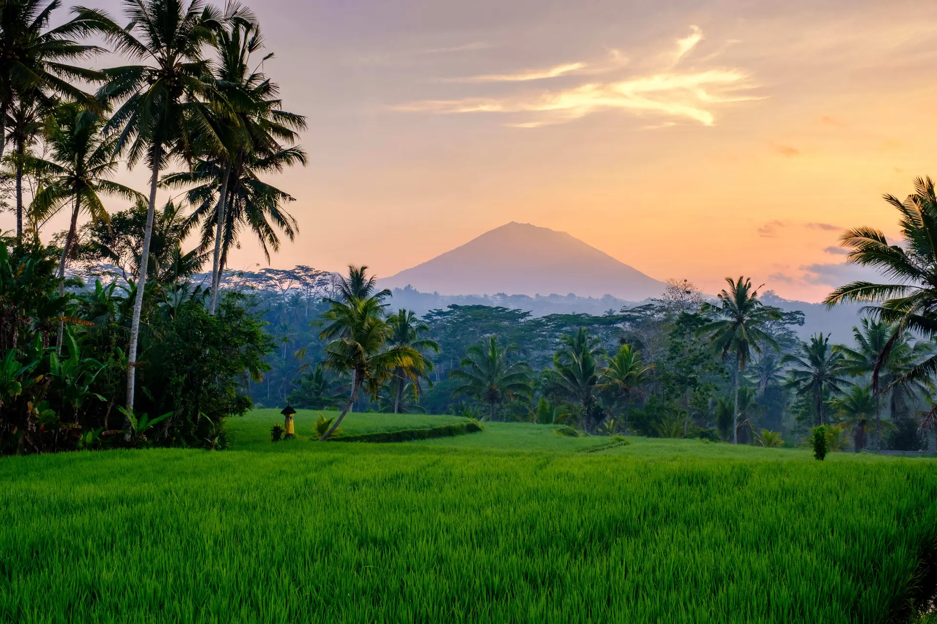 Nature et Paysage
