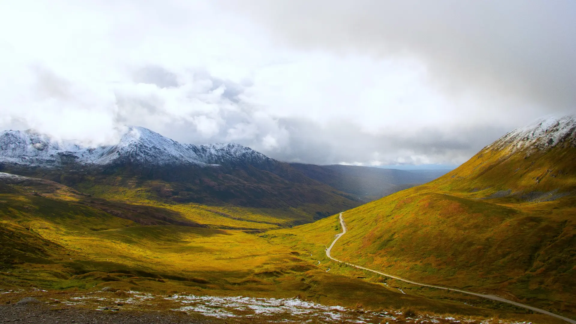 Nature & Landscapes