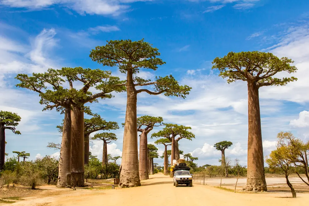 Voyage Madagascar