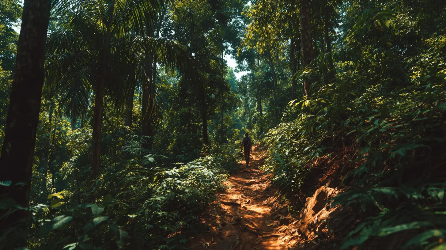 Activité et Aventure