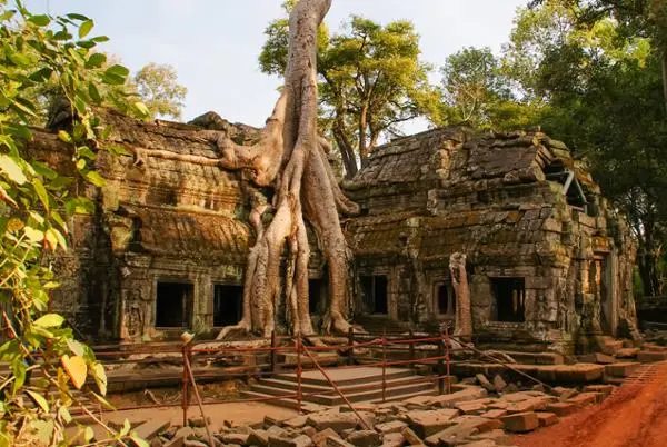 Le temple de Ta Prohm est totalement intégré à la nature du lieu