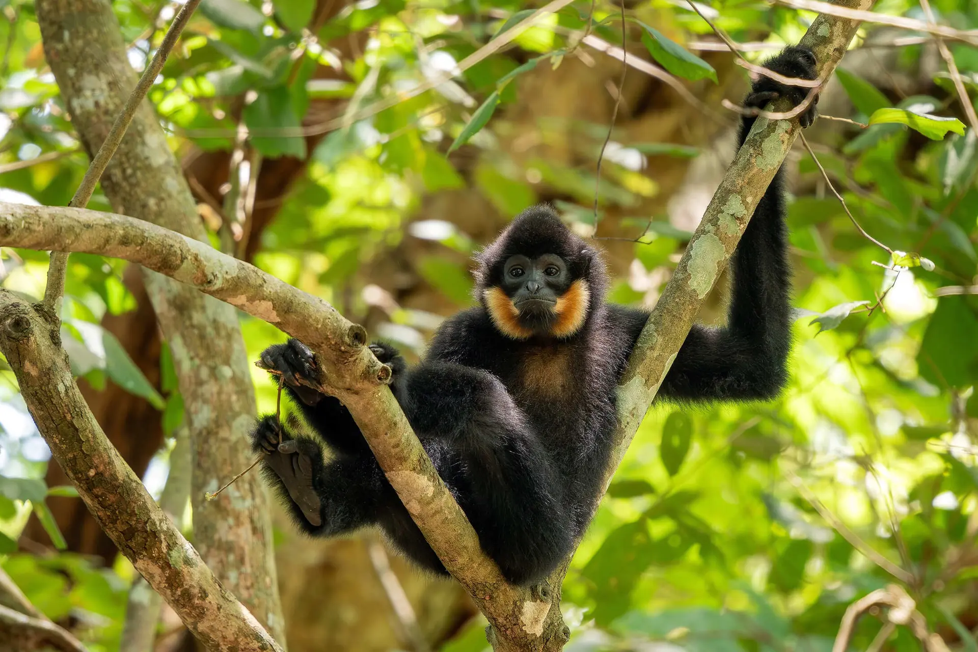 Faune et Biodiversité