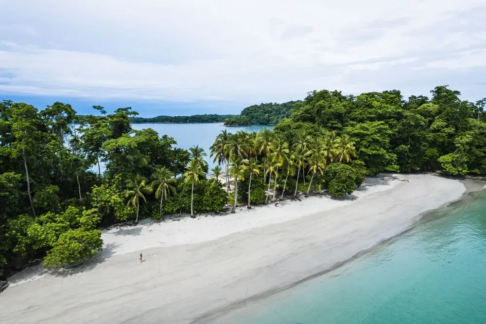 Isla Iguana au Panama