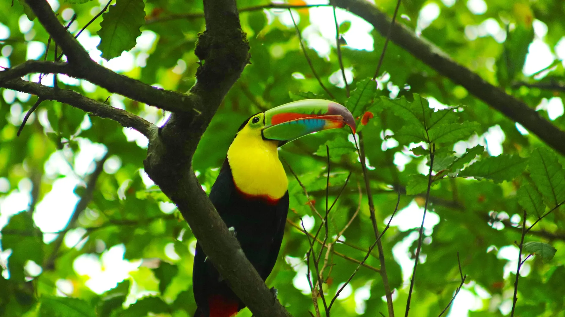 Faune et Biodiversité