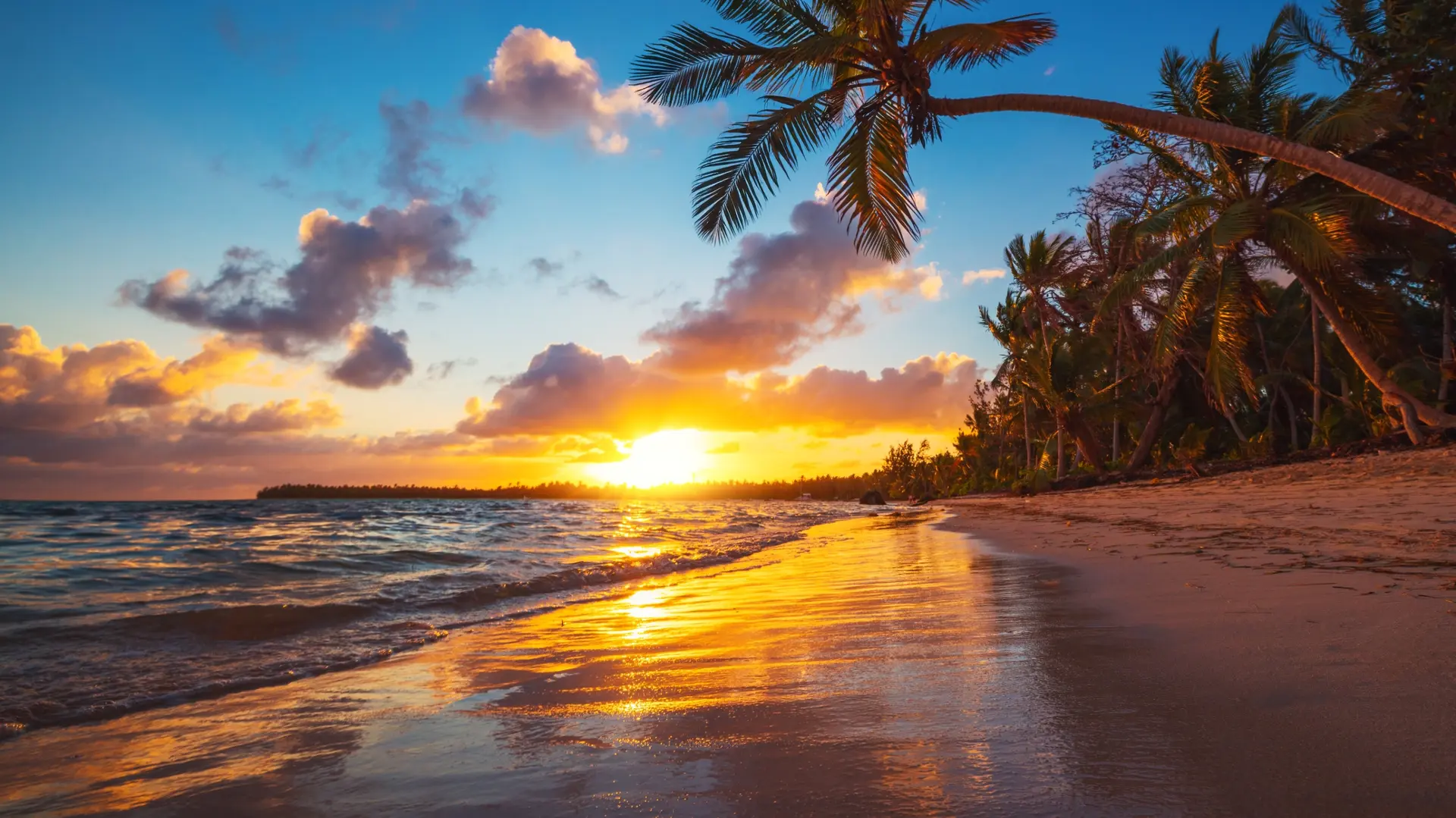 Sea & Beaches