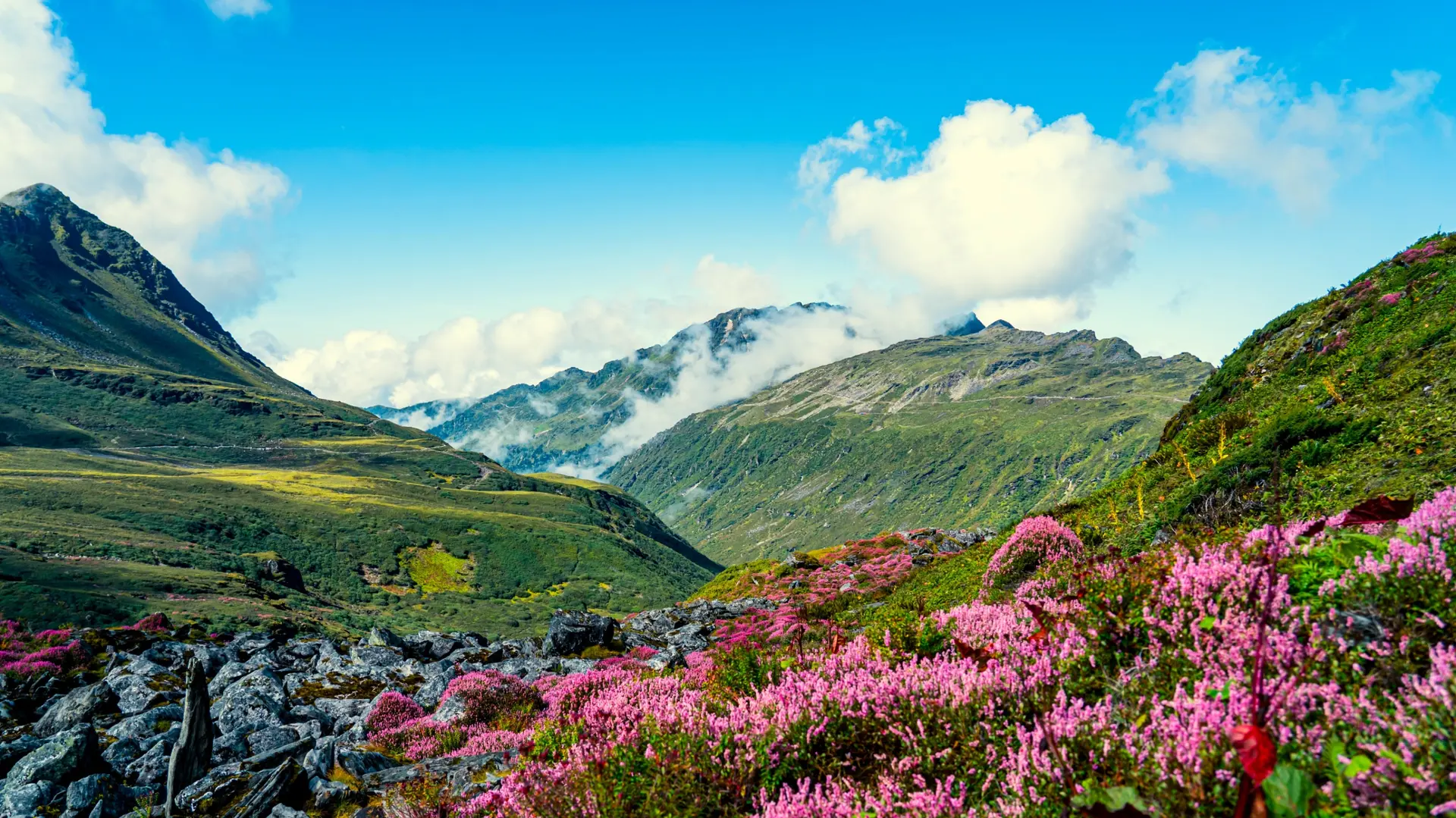 Nature et Paysage